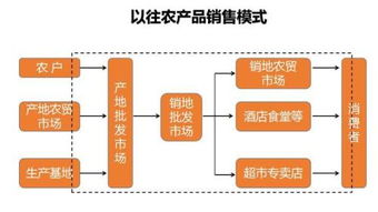 优质农产品如何通过互联网销售 策略与实践